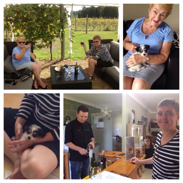 Processed with MOLDIV